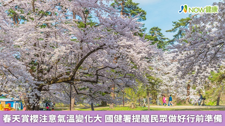 春天賞櫻注意氣溫變化大 國健署提醒民眾做好行前準備 春天賞櫻注意氣溫變化大 國健署提醒民眾做好行前準備