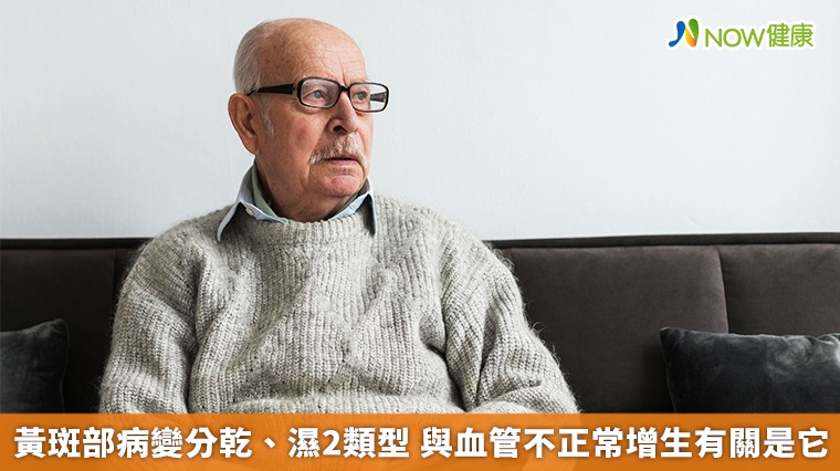 黃斑部病變分乾、濕2類型 與血管不正常增生有關是它 黃斑部病變分乾、濕2類型 與血管不正常增生有關是它