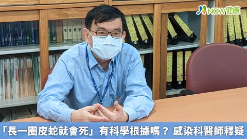 「長一圈皮蛇就會死」有科學根據嗎？ 感染科醫師釋疑