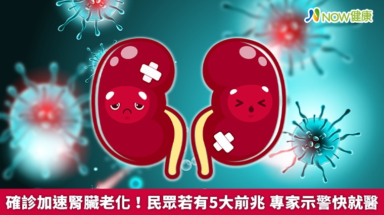 確診加速腎臟老化!民眾若有5大前兆 專家示警快就醫 確診加速腎臟老化!民眾若有5大前兆 專家示警快就醫