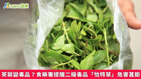 毒品裝茶葉？食藥署提醒二級毒品「恰特草」危害甚鉅