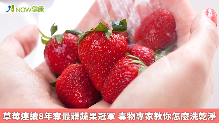 草莓連續8年奪最髒蔬果冠軍 毒物專家教你怎麼洗乾淨 草莓連續8年奪最髒蔬果冠軍 毒物專家教你怎麼洗乾淨