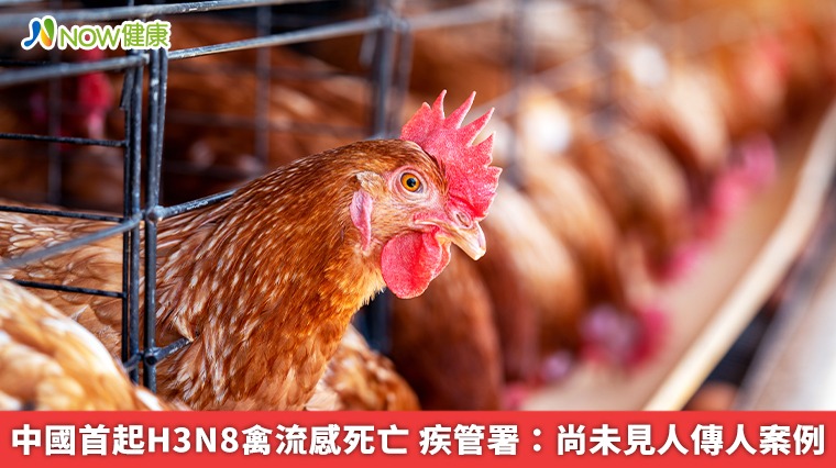 中國首起H3N8禽流感死亡 疾管署：尚未見人傳人案例