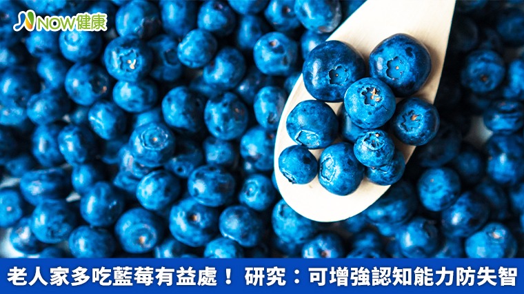 老人家多吃藍莓有益處! 研究:可增強認知能力防失智 老人家多吃藍莓有益處! 研究:可增強認知能力防失智