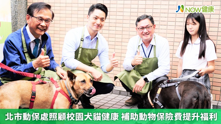 北市動保處照顧校園犬貓健康 補助動物保險費提升福利