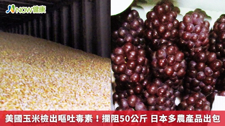 美國玉米檢出嘔吐毒素!攔阻50公斤 日本多農產品出包 美國玉米檢出嘔吐毒素!攔阻50公斤 日本多農產品出包