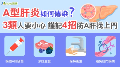 A型肝炎如何傳染？3類人要小心 謹記4招防A肝找上門