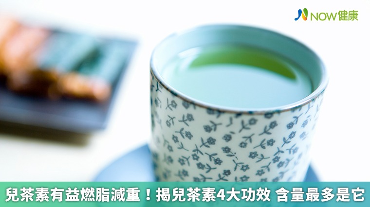兒茶素有益燃脂減重!揭兒茶素4大功效 含量最多是它 兒茶素有益燃脂減重!揭兒茶素4大功效 含量最多是它