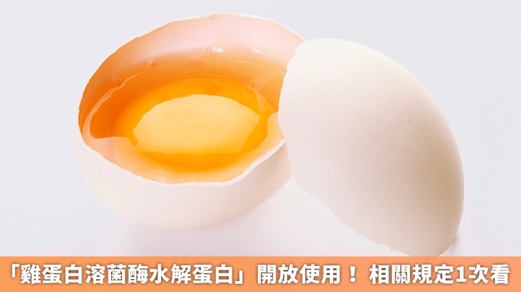 「雞蛋白溶菌酶水解蛋白」開放使用! 相關規定1次看 「雞蛋白溶菌酶水解蛋白」開放使用! 相關規定1次看