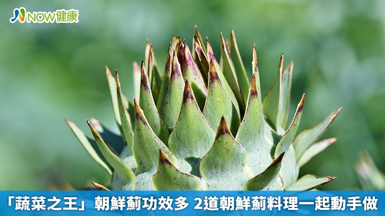 「蔬菜之王」朝鮮薊功效多 2道朝鮮薊料理一起動手做 「蔬菜之王」朝鮮薊功效多 2道朝鮮薊料理一起動手做