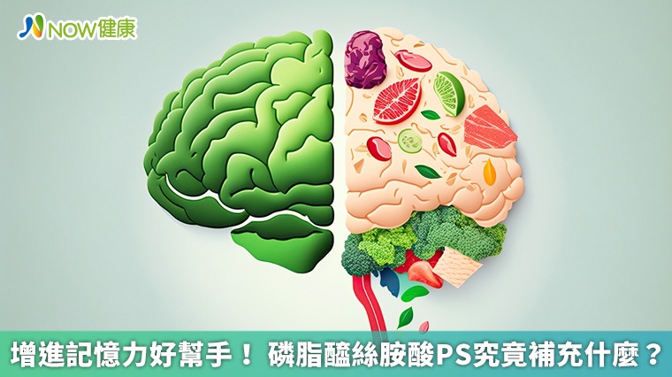 增進記憶力好幫手! 磷脂醯絲胺酸PS究竟補充什麼? 增進記憶力好幫手! 磷脂醯絲胺酸PS究竟補充什麼?