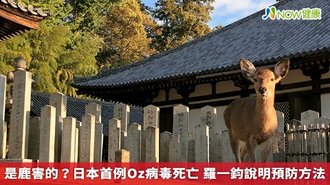 是鹿害的？日本首例Oz病毒死亡 羅一鈞說明預防方法