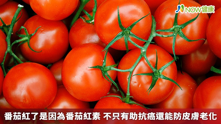 番茄紅了是因為番茄紅素 不只有助抗癌還能防皮膚老化 番茄紅了是因為番茄紅素 不只有助抗癌還能防皮膚老化