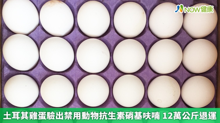 土耳其雞蛋驗出禁用動物抗生素硝基呋喃 12萬公斤退運 土耳其雞蛋驗出禁用動物抗生素硝基呋喃 12萬公斤退運
