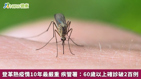 登革熱疫情10年最嚴重 疾管署：60歲以上確診破2百例