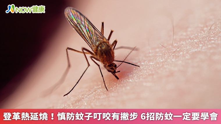 登革熱延燒!慎防蚊子叮咬有撇步 6招防蚊一定要學會 登革熱延燒!慎防蚊子叮咬有撇步 6招防蚊一定要學會