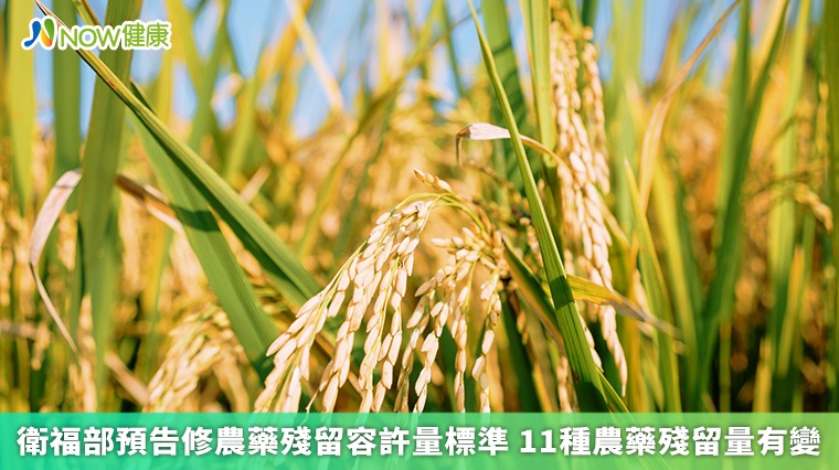 衛福部預告修農藥殘留容許量標準 11種農藥殘留量有變 衛福部預告修農藥殘留容許量標準 11種農藥殘留量有變
