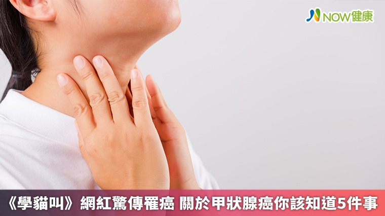 《學貓叫》網紅驚傳罹癌 關於甲狀腺癌你該知道5件事 《學貓叫》網紅驚傳罹癌 關於甲狀腺癌你該知道5件事
