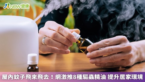 屋內蚊子飛來飛去！網激推8種驅蟲精油 提升居家環境