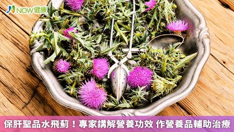 保肝聖品水飛薊！專家講解營養功效 作營養品輔助治療 