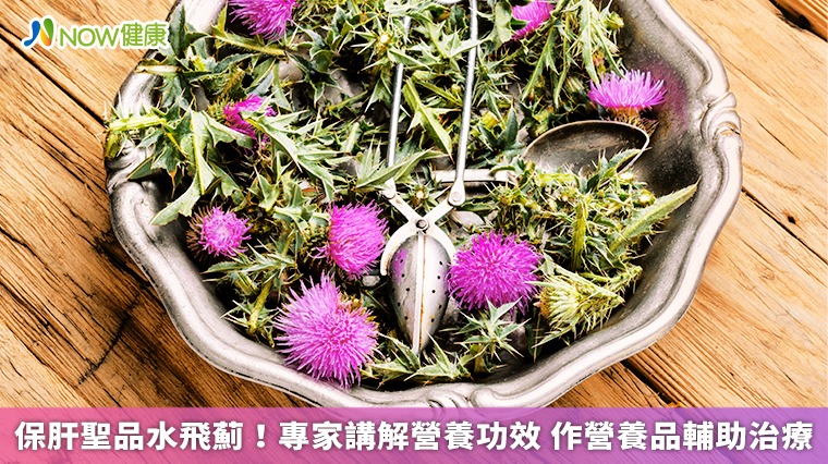 保肝聖品水飛薊!專家講解營養功效 作營養品輔助治療 保肝聖品水飛薊!專家講解營養功效 作營養品輔助治療