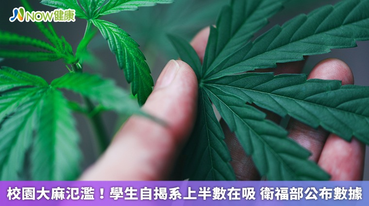 校園大麻氾濫！學生自揭系上半數在吸 衛福部公布數據