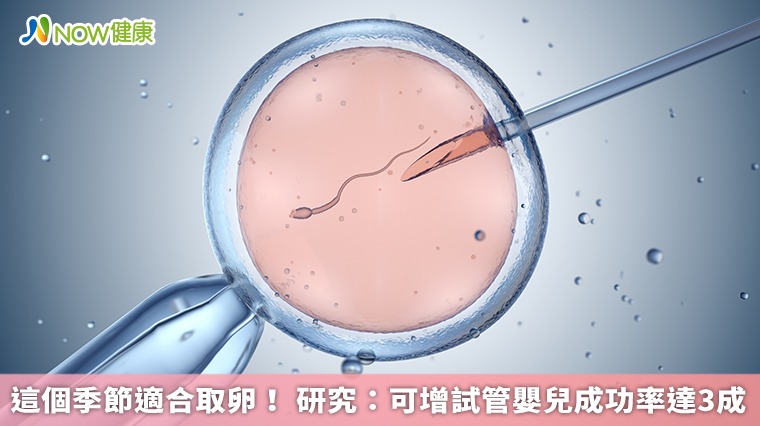 這個季節適合取卵! 研究:可增試管嬰兒成功率達3成 這個季節適合取卵! 研究:可增試管嬰兒成功率達3成