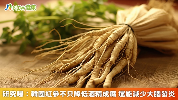 研究曝:韓國紅參不只降低酒精成癮 還能減少大腦發炎 研究曝:韓國紅參不只降低酒精成癮 還能減少大腦發炎