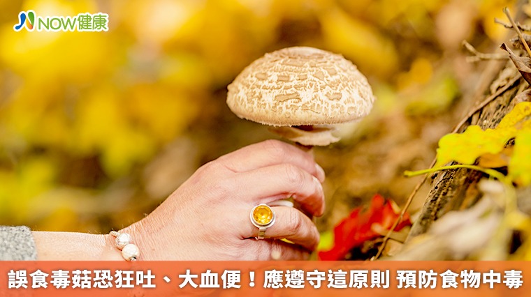 誤食毒菇恐狂吐、大血便!應遵守這原則 預防食物中毒 誤食毒菇恐狂吐、大血便!應遵守這原則 預防食物中毒