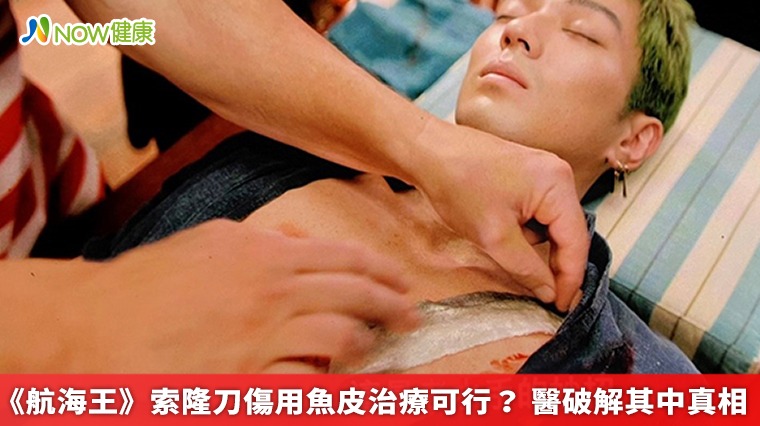 《航海王》索隆刀傷用魚皮治療可行? 醫破解其中真相 《航海王》索隆刀傷用魚皮治療可行? 醫破解其中真相