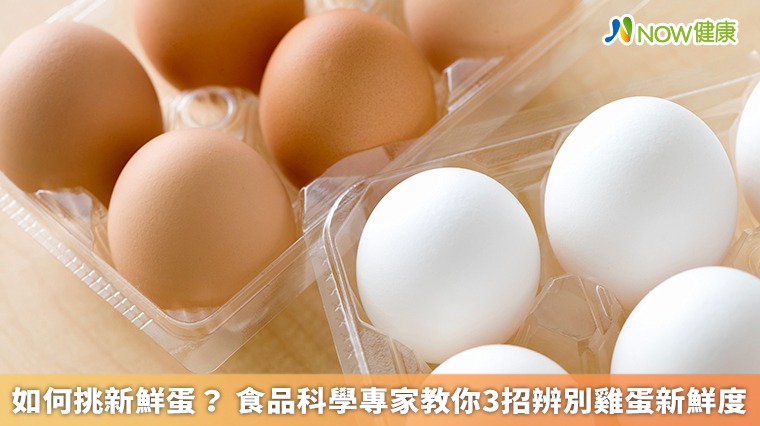 如何挑新鮮蛋? 食品科學專家教你3招辨別雞蛋新鮮度 如何挑新鮮蛋? 食品科學專家教你3招辨別雞蛋新鮮度