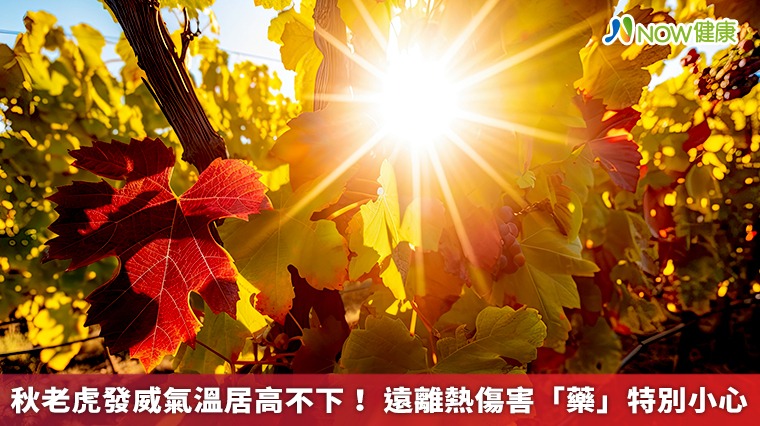 秋老虎發威氣溫居高不下！ 遠離熱傷害「藥」特別小心