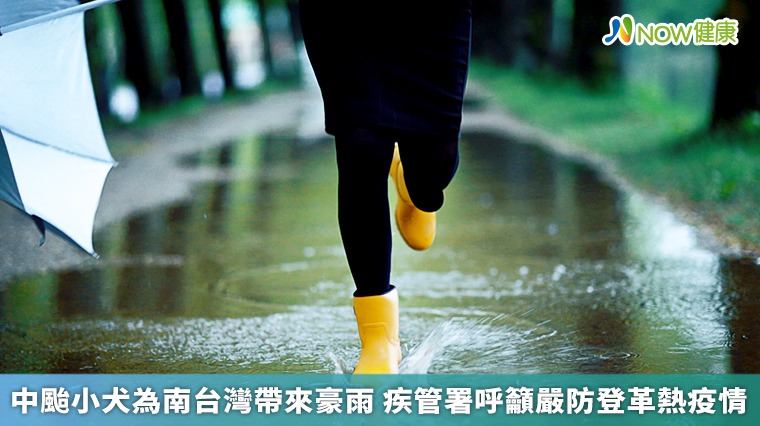 中颱小犬為南台灣帶來豪雨 疾管署呼籲嚴防登革熱疫情 中颱小犬為南台灣帶來豪雨 疾管署呼籲嚴防登革熱疫情