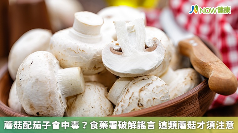 蘑菇配茄子會中毒?食藥署破解謠言 這類蘑菇才須注意 蘑菇配茄子會中毒?食藥署破解謠言 這類蘑菇才須注意