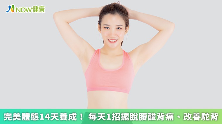 完美體態14天養成! 每天1招擺脫腰酸背痛、改善駝背 完美體態14天養成! 每天1招擺脫腰酸背痛、改善駝背