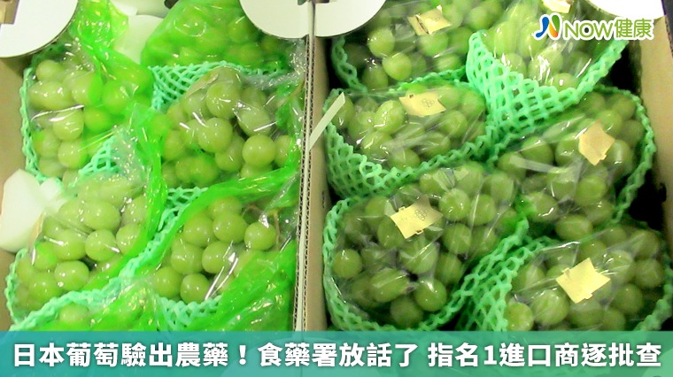 日本葡萄驗出農藥!食藥署放話了 指名1進口商逐批查 日本葡萄驗出農藥!食藥署放話了 指名1進口商逐批查