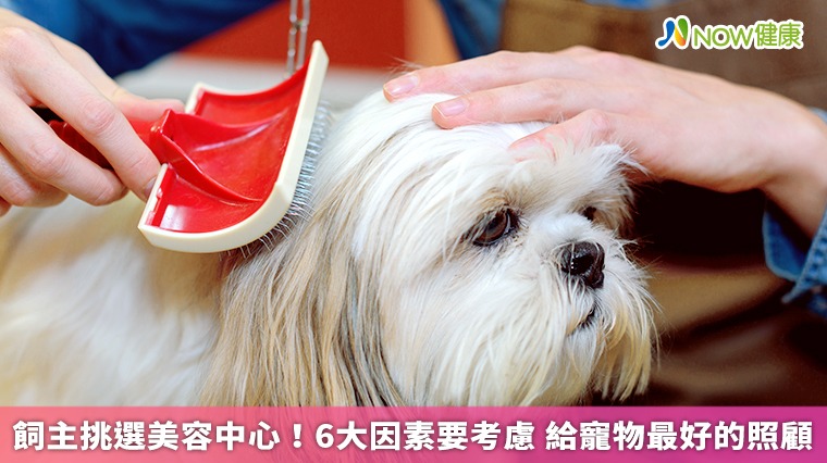 飼主挑選美容中心!6大因素要考慮 給寵物最好的照顧 飼主挑選美容中心!6大因素要考慮 給寵物最好的照顧