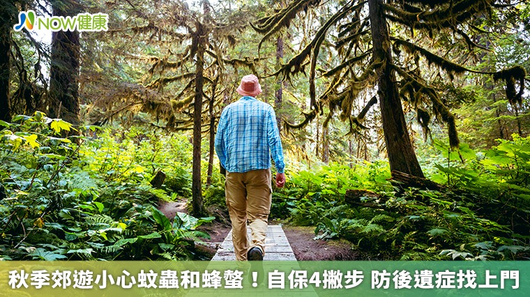 秋季郊遊小心蚊蟲和蜂螫！自保4撇步 防後遺症找上門