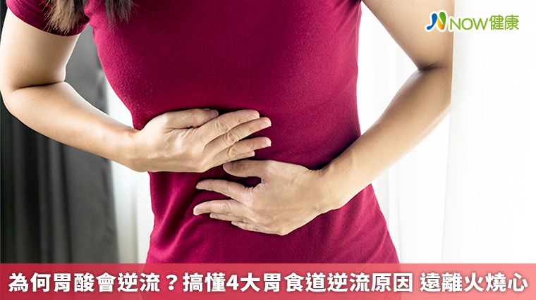 為何胃酸會逆流?搞懂4大胃食道逆流原因 遠離火燒心 為何胃酸會逆流?搞懂4大胃食道逆流原因 遠離火燒心