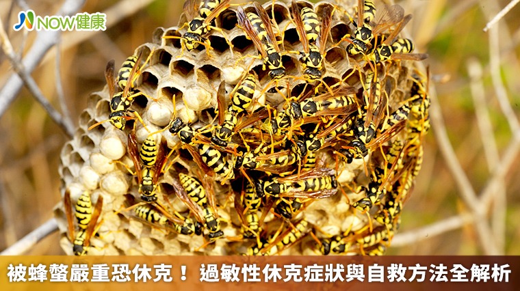 被蜂螫嚴重恐休克! 過敏性休克症狀與自救方法全解析 被蜂螫嚴重恐休克! 過敏性休克症狀與自救方法全解析