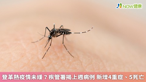 登革熱疫情未緩？疾管署揭上週病例 新增4重症、5死亡