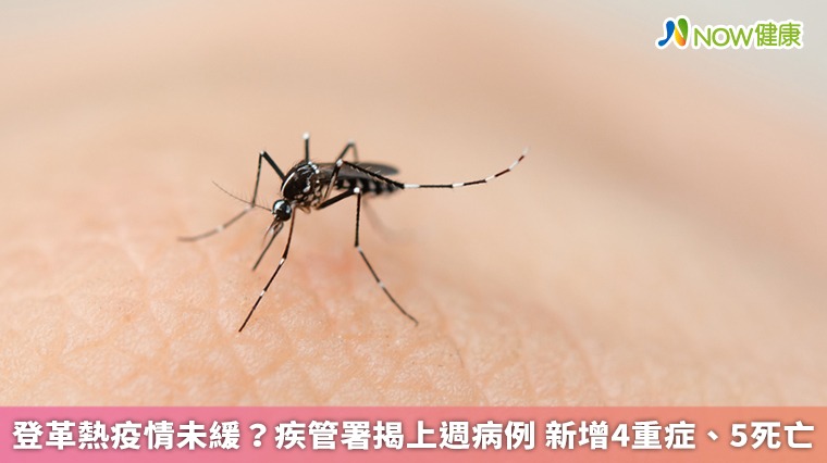 登革熱疫情未緩?疾管署揭上週病例 新增4重症、5死亡 登革熱疫情未緩?疾管署揭上週病例 新增4重症、5死亡