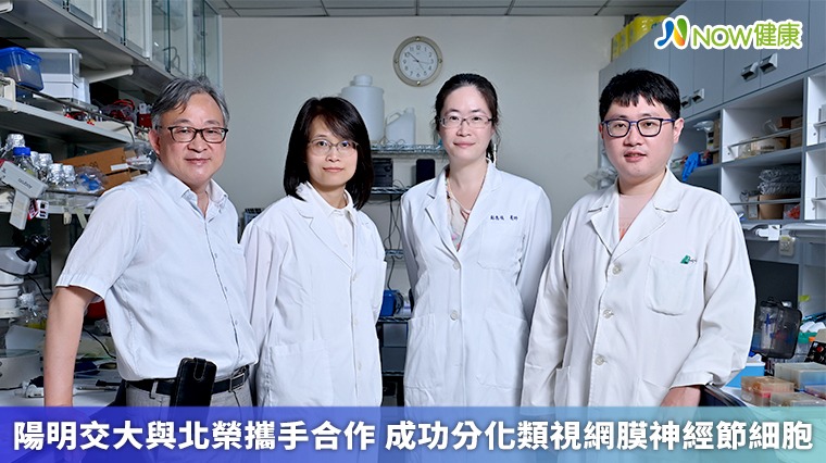 陽明交大與北榮攜手合作 成功分化類視網膜神經節細胞 陽明交大與北榮攜手合作 成功分化類視網膜神經節細胞