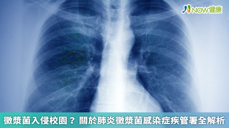 黴漿菌入侵校園? 關於肺炎黴漿菌感染症疾管署全解析 黴漿菌入侵校園? 關於肺炎黴漿菌感染症疾管署全解析