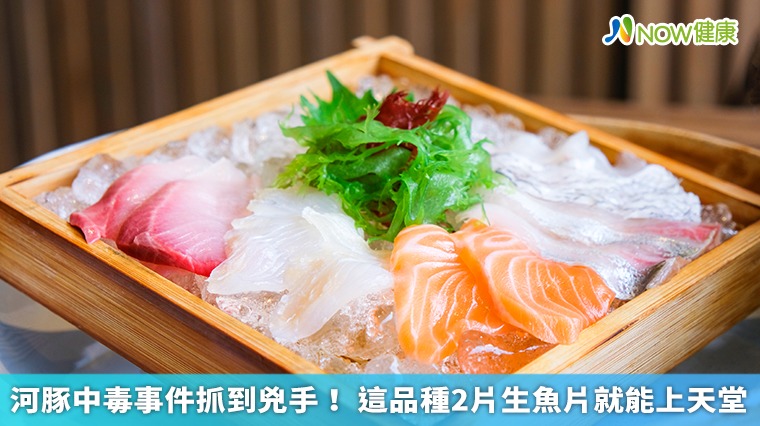 河豚中毒事件抓到兇手！ 這品種2片生魚片就能上天堂