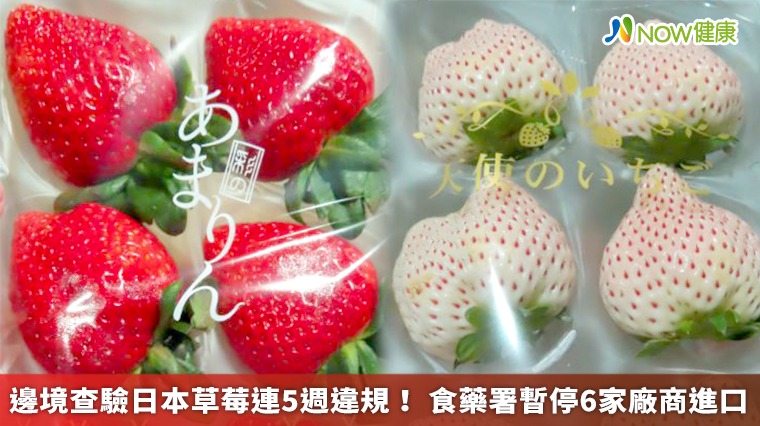 邊境查驗日本草莓連5週違規! 食藥署暫停6家廠商進口 邊境查驗日本草莓連5週違規! 食藥署暫停6家廠商進口