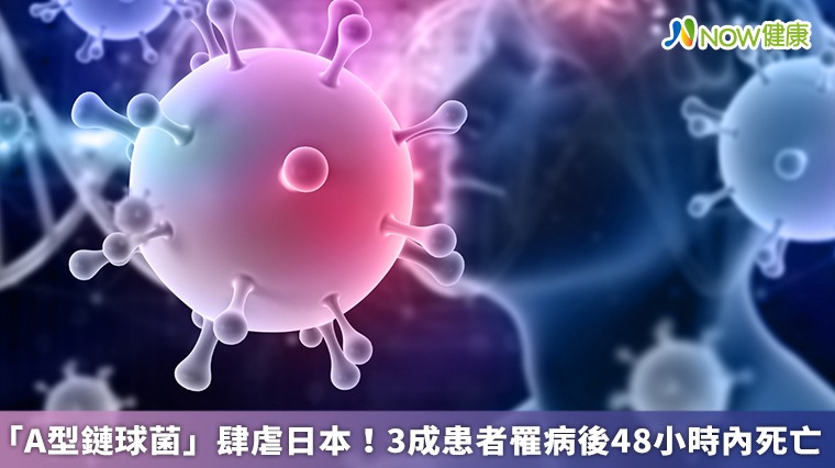 「A型鏈球菌」肆虐日本!3成患者罹病後48小時內死亡 「A型鏈球菌」肆虐日本!3成患者罹病後48小時內死亡