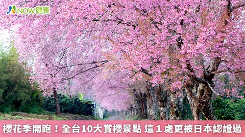 櫻花季開跑！全台10大賞櫻景點 這1處更被日本認證過