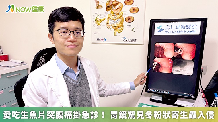 愛吃生魚片突腹痛掛急診! 胃鏡驚見冬粉狀寄生蟲入侵 愛吃生魚片突腹痛掛急診! 胃鏡驚見冬粉狀寄生蟲入侵