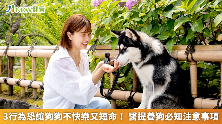 3行為恐讓狗狗不快樂又短命! 醫提養狗必知注意事項 3行為恐讓狗狗不快樂又短命! 醫提養狗必知注意事項